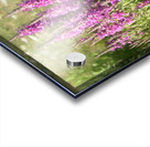 Loosestrife Wild Flowers in a Ditch Acrylic print