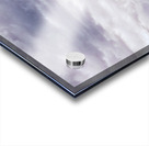 16x24 Last Stand Acrylic print