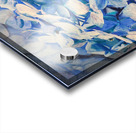 Feelin blue Acrylic print