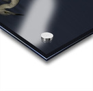 In the shadows Acrylic print