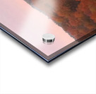 Colourful trees Acrylic print