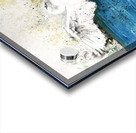 Trumpet Swans Acrylic print