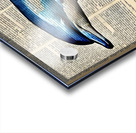 IMG 0979 Acrylic print