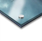 Eagle-Take Off Acrylic print