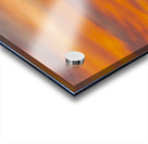 Sandhill Cranes Evening Sky Acrylic print