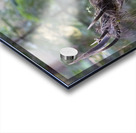 Bull with elk decoration Acrylic print