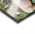 Bull Elk Bugle Acrylic print