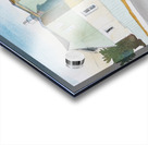 Toronto House Acrylic print