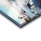 Built to Rust 1 Acrylic print