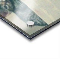 Family of Kittens Acrylic print