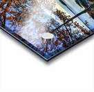 Winslow Park Golden Hour - Freeport Maine Wall Art Acrylic print