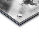 gflkklk55pp755 Acrylic print