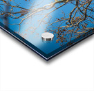 Eagle in morning light Acrylic print