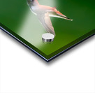 Hummingbird on sunflower Acrylic print