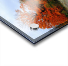 Autumn Road Acrylic print