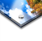 Fall Lake Acrylic print