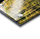 Fall Trail Acrylic print