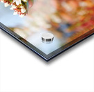 Budding Acrylic print