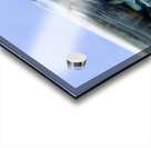 Grasshopper Acrylic print