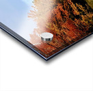 Autumn Road Acrylic print