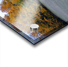 Running Sheep Acrylic print