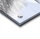 04 Gray Barn in Snow Acrylic print