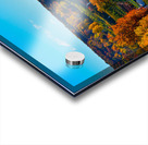 10 Belltown Orchards in Fall Acrylic print