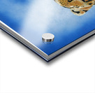 Cheetah Acrylic print