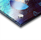 Mystical Jellies Acrylic print