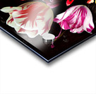 STILL LIFE WITH VARIEGATED TULIPS IN A CERAMIC VASE WITH A WASP DRAGONFLY BUTTERFLY & LIZARD Acrylic print