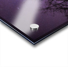 Winters Canopy: Stellar Skies Above Pinehouse Lakes Forest Acrylic print