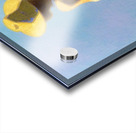 JEUNE FEMME DEVANT LA MER - YOUNG WOMAN IN FRONT OF THE SEA Acrylic print