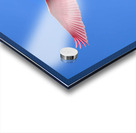 Spoonbille  12223 18 1 of 1 Acrylic print