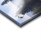 Out for a walk Acrylic print