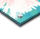 Pink Daisy on a Green  Abstract Background  Acrylic print