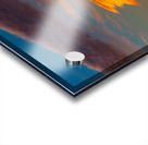 Great Orange Whale Acrylic print