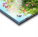 Sweetpeas on a Wire Fence Acrylic print