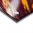 Strawberry Shortcake Acrylic print