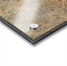 Follow Me Acrylic print