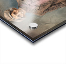 sassy 41 Acrylic print