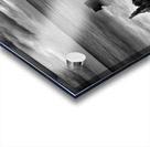 Ocean  of Carabelle Acrylic print