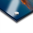 Take Flight Acrylic print