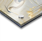 IMG 0299 Acrylic print