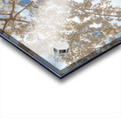 Cherry Blossoms Impression Acrylique