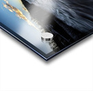 Worumbos Winter Flood - Maine River Wall Art Acrylic print