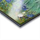 Irises Vincent van Gogh Acrylic print