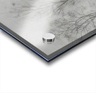 Van Gogh 1872  1873 autumn spring Acrylic print