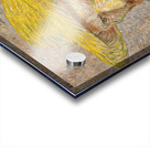 Van Gogh Self Portrait with Straw Hat 1887 Acrylic print