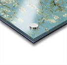 Vincent van Gogh   Almond blossom Acrylic print