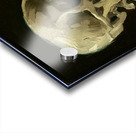 Vincent van Gogh   Head of a skeleton with a burn Acrylic print